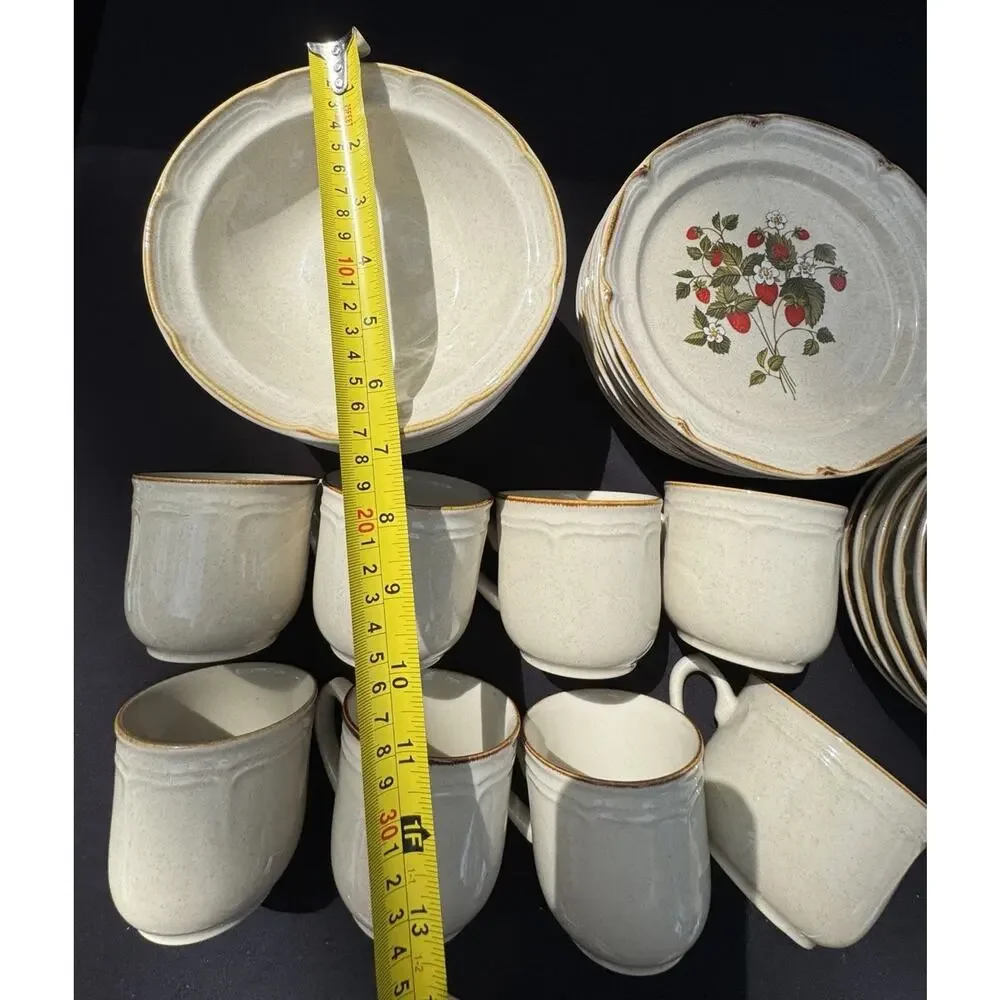 Vintage 1960’s Endura Collection LA FRAISE Strawberries Plate Bowl Saucer & Mugs